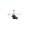 10PAK:WW-GGYF-1 Image